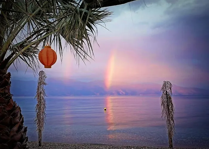 Seacret 셀리아니티카