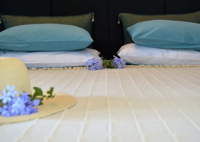 Seacret * 셀리아니티카